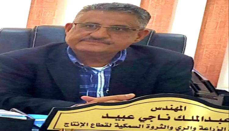 مسؤول حكومي: يجب تشديد المراقبة على الموانئ الخاضعة لسيطرة الحوثيين
