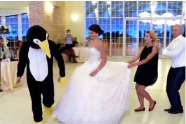 رقصة "البطريق" في أعراس العرب