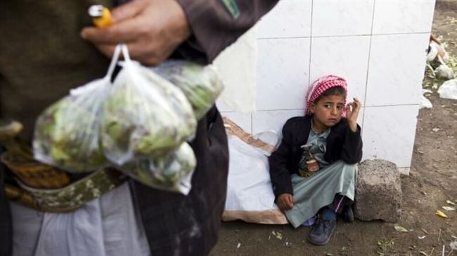 استطلاع: نصف اليمنيين لا يتعاطون القات