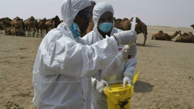 كورونا: السعودية تسعى جاهدة لجعل الحج آمنا من الفيروس