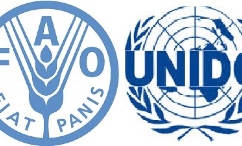 منظمة الأغذية والزراعة للأمم المتحدة والبرنامج الإنمائي للأمم المتحدة في زيارة إلى حجة