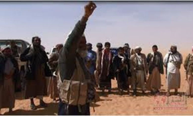 قبيلة دهم على الشريط الحدودي تعلن تأييد عاصفة الحزم واستعدادها لمحاربة مليشيات الحوثي
