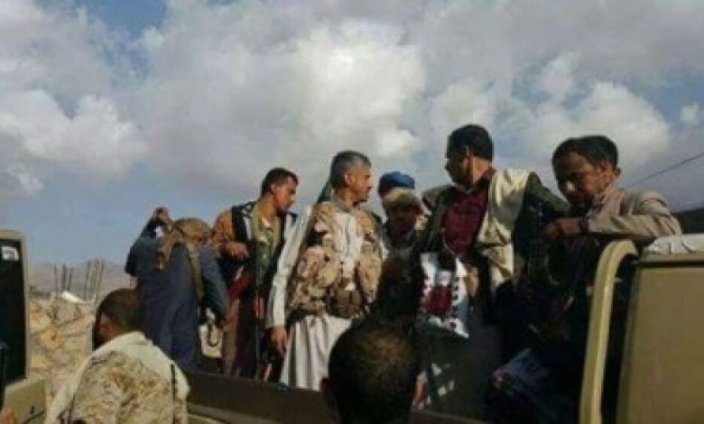قائد المقاومة الشعبية المخلافي يؤكد : تعز مقبرة الحوثيين