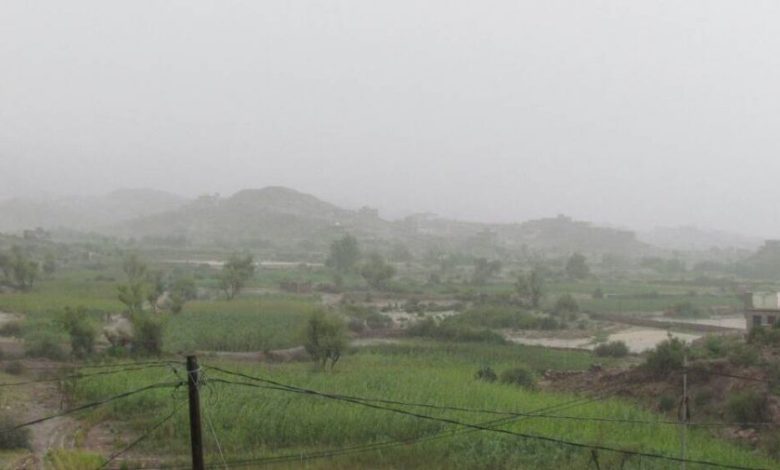 الضالع :أمطار غزيرة ومنخفض جوي منذ 3 أيام