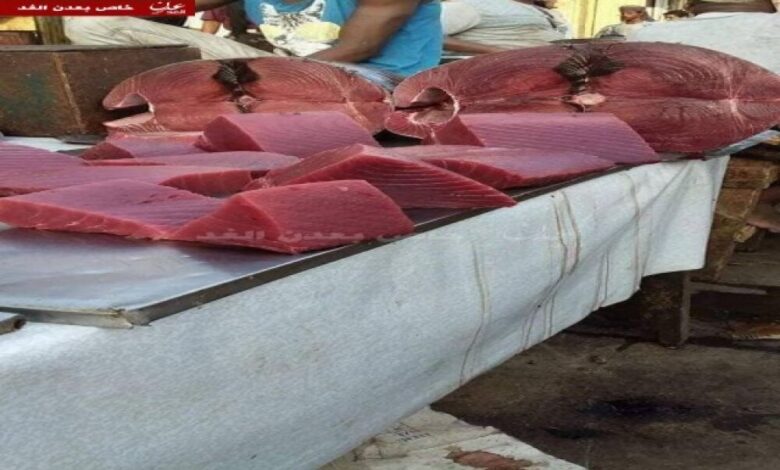عدن: ارتفاع جنوني في أسعار الأسماك