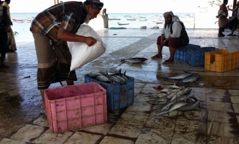 استعدادات لتوزيع شباك وعوازل حفظ الأسماك لـ 4200 صياد في أبين