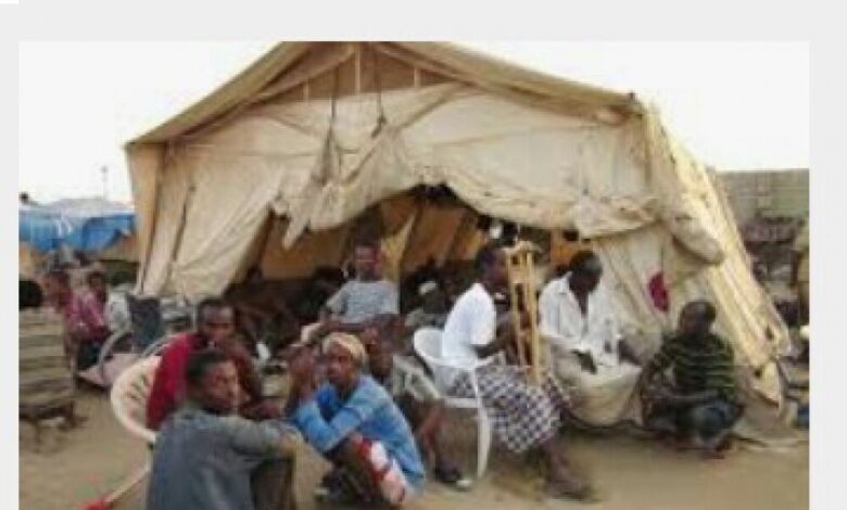 إنتشار كثيف للبعوض بمخيم اللآجئين بخرز " والسكان يناشدون التدخل لمكافحته
