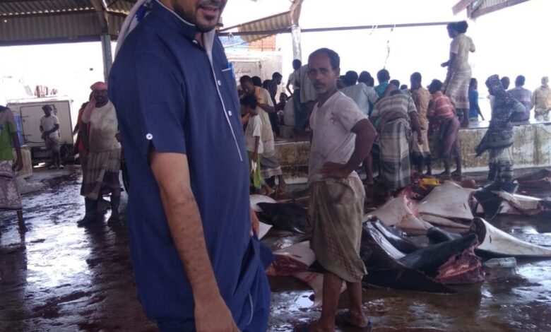 مدير هيئة المصائد السمكية بشبوة يرتدي الزي العادي ويشارك في نظافة سوق الحراج في بئر علي