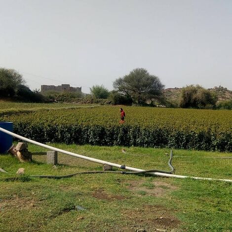 ميليشيا الحوثي تضاعف الإتاوات على مزارعي القات وآبار المياه بتعز